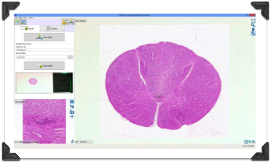 Glissando Digital Pathology Slide Scanner