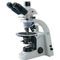 Motic BA310 Pol Microscope