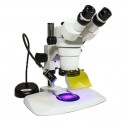 NIGHTSEA Stereomicroscope Fluorescence
