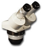 EMF-1 EMF-1