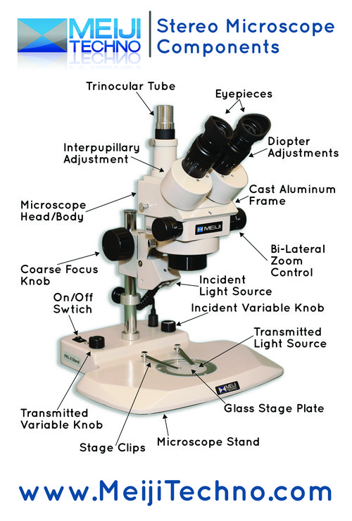 Meiji Stereo Microscopes