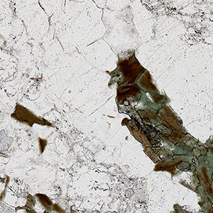 Unitron Polarizing Microscope by Meyer Instruments