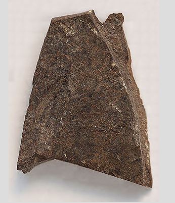 Oil Shale gigapixel imaging at Meyer Instruments