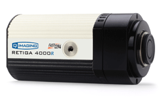 Retiga-4000R CCD Camera