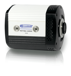 retiga6000 Retiga 6000 CCD Camera