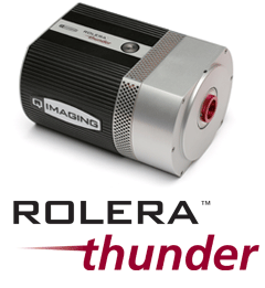 Rolera Thunder