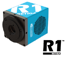 Retiga R1™ CCD Camera