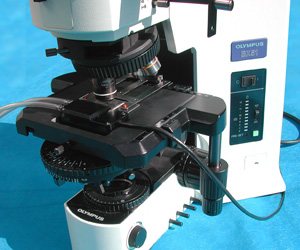 PE-BX120+on+scope Linkam Integrated Peltier Stages