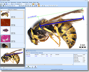 Promicra QuickPHOTO 3.1 available at Meyer Instruments, Inc. Houston, Texas