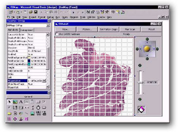 Image Stitching Software