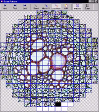 Image Stitching Software