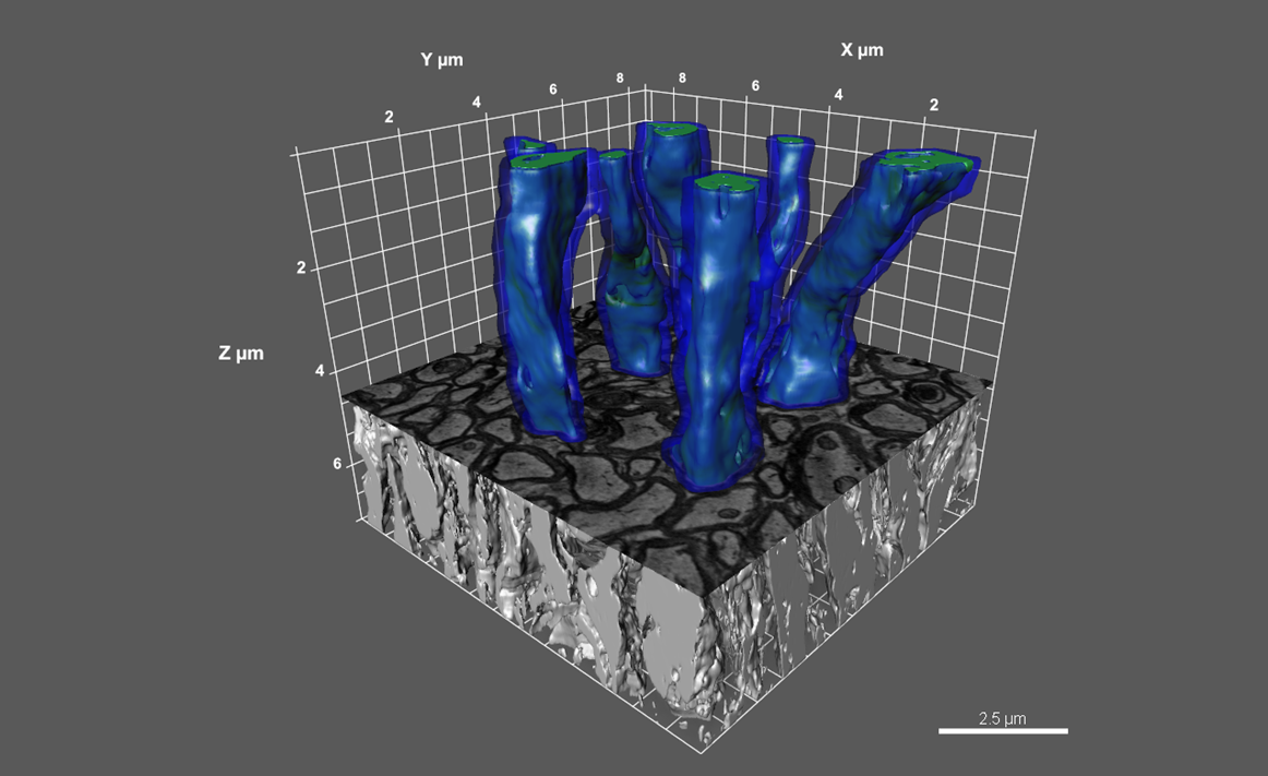 3D Imaging