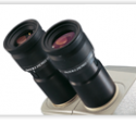 Labomed CZM6 Stereomicroscope