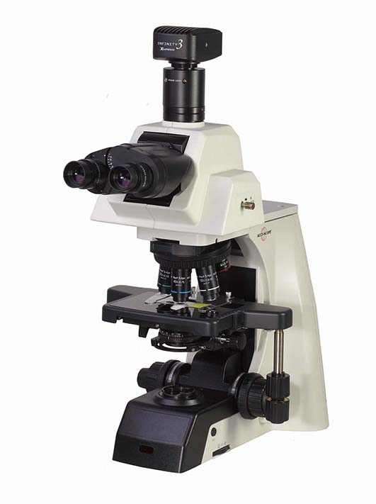 Accu-Scope EXC-500 Microscope Series with camera