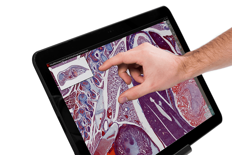 maus_tablet PreciPoint M8 Microscope and Scanner - Tablet Control
