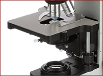 exc-400-stage Accu-Scope EXC-400