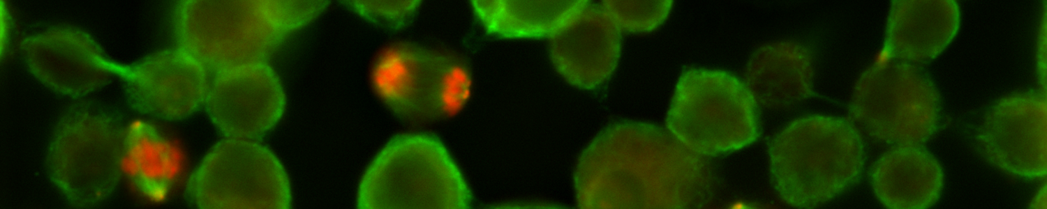 OptraSCAN OS-FL Digital Fluorescence Pathology Scanner available from Meyer Instruments, Inc.