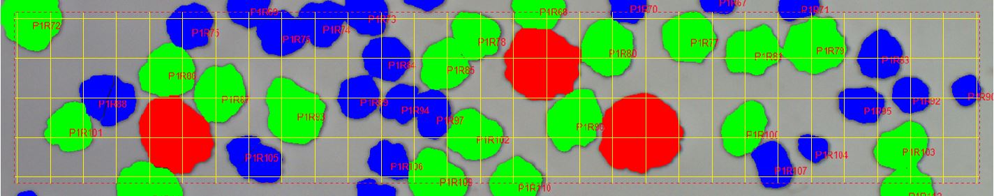 capture-grid
