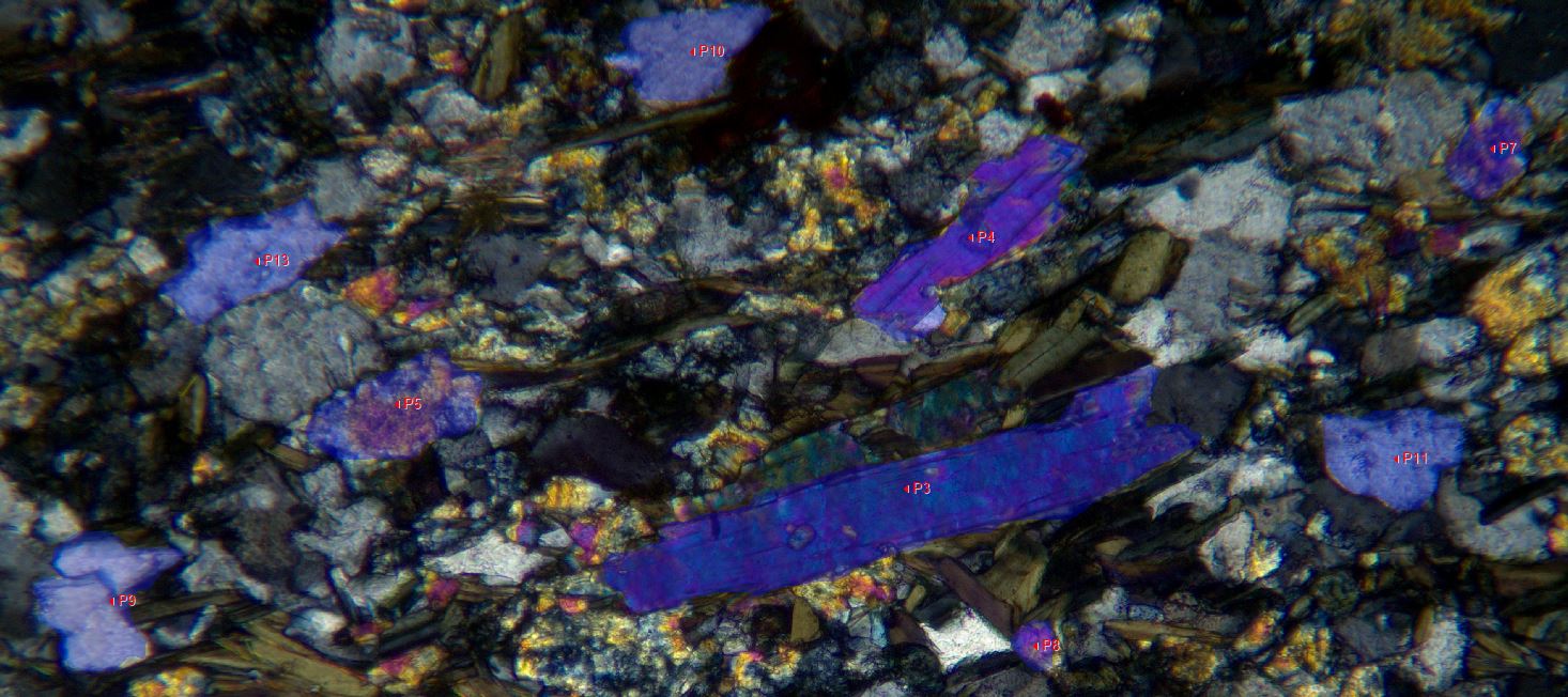 Pol sample