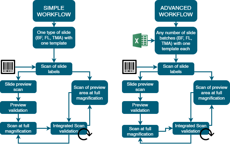 sl-flowchart