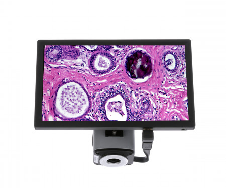 au-300-hds_1-01-01