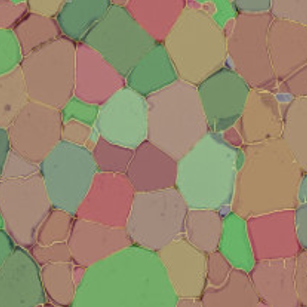 cell_size