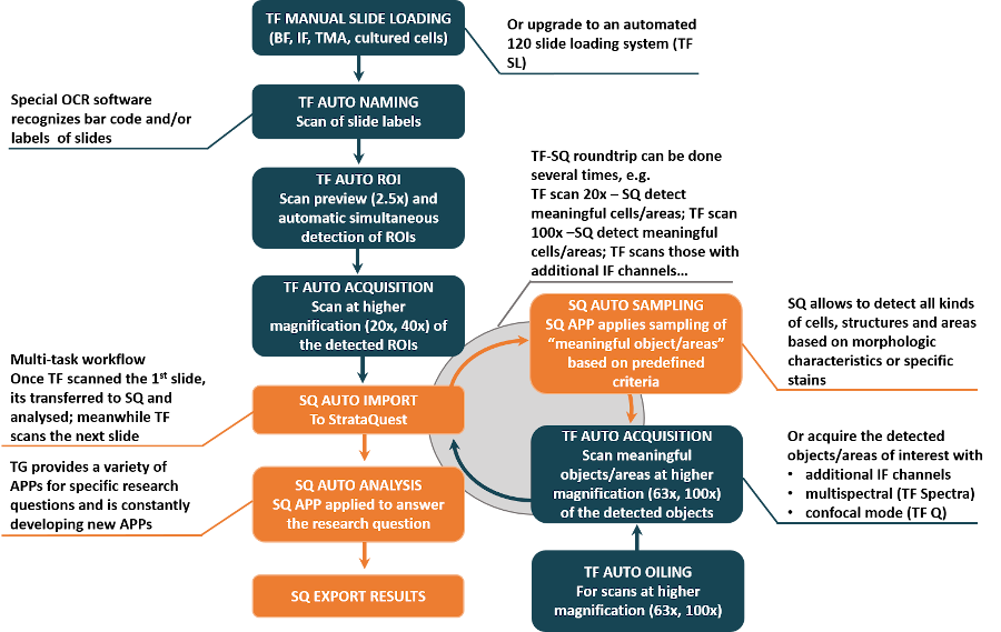 strataquest_multi-task_workflow