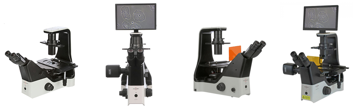 accu-scope-exi-400-inverted-microscopes