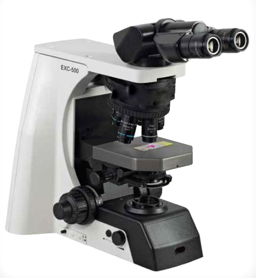 ACCU-SCOPE EXC-500 Microscope
