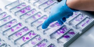 Motic EasyScan Infinity Slide Scanners from Meyer Instruments, Inc.