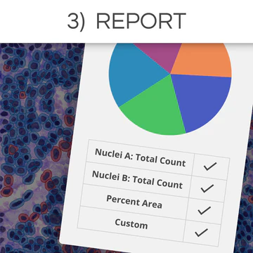 clinical_-_3._report_360x