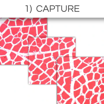 general_bio_-_1._capture_360x