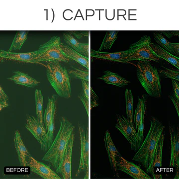 research_-_1._capture_360x