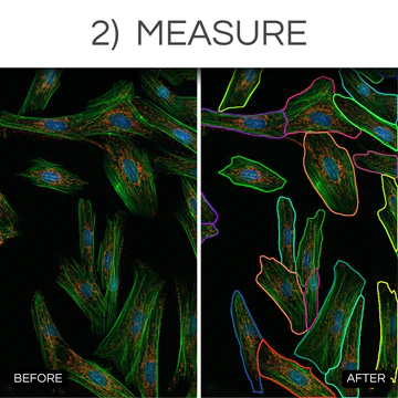 research_-_2._measure_360x