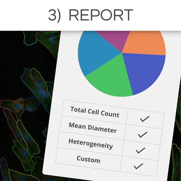 research_-_3._report_360x