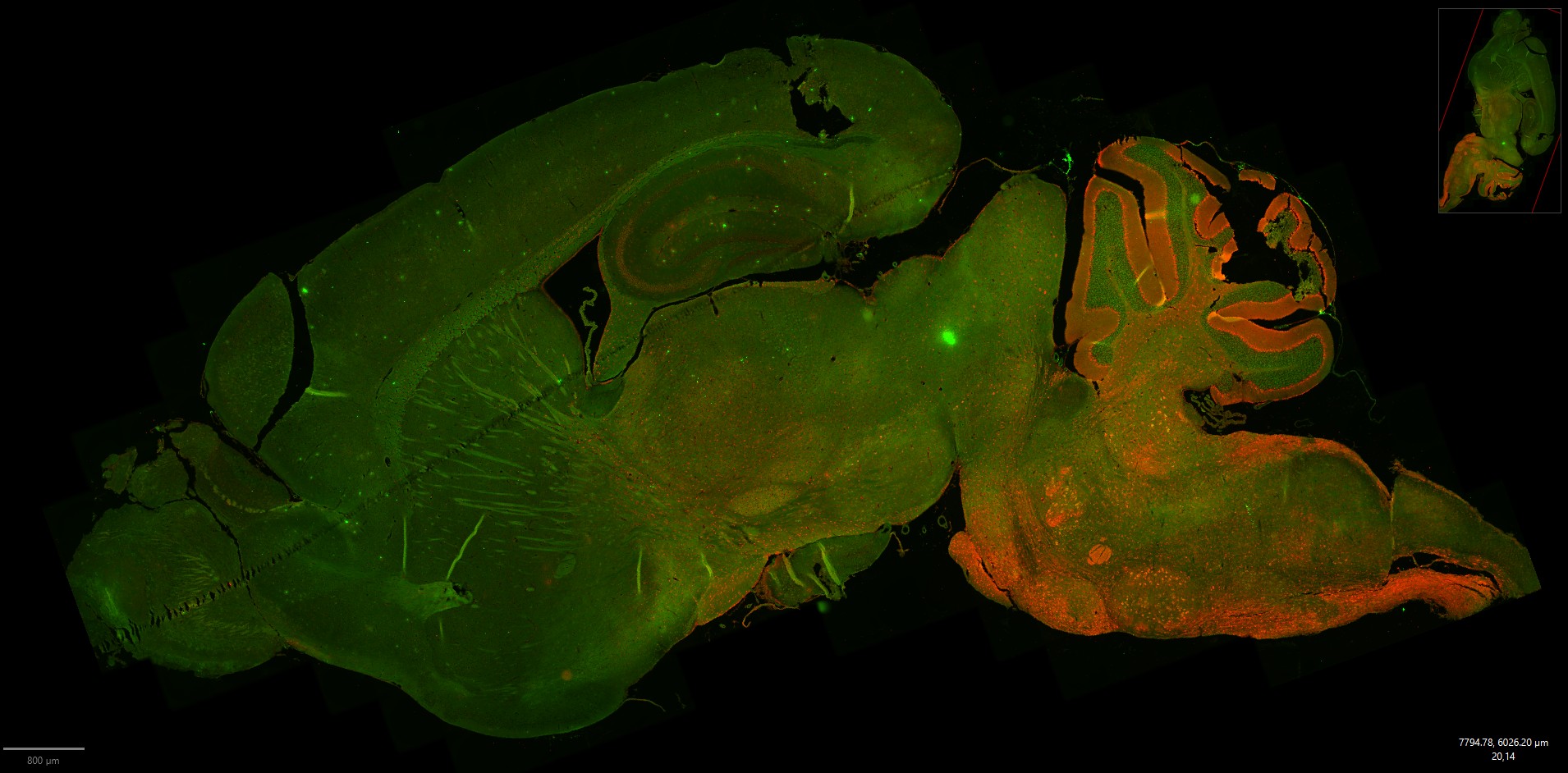 screenshot-2025-10-24-140808