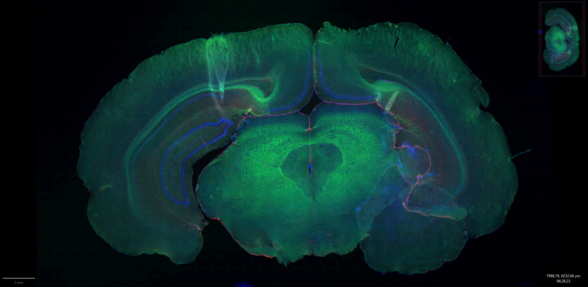 screenshot-2025-10-24-141237