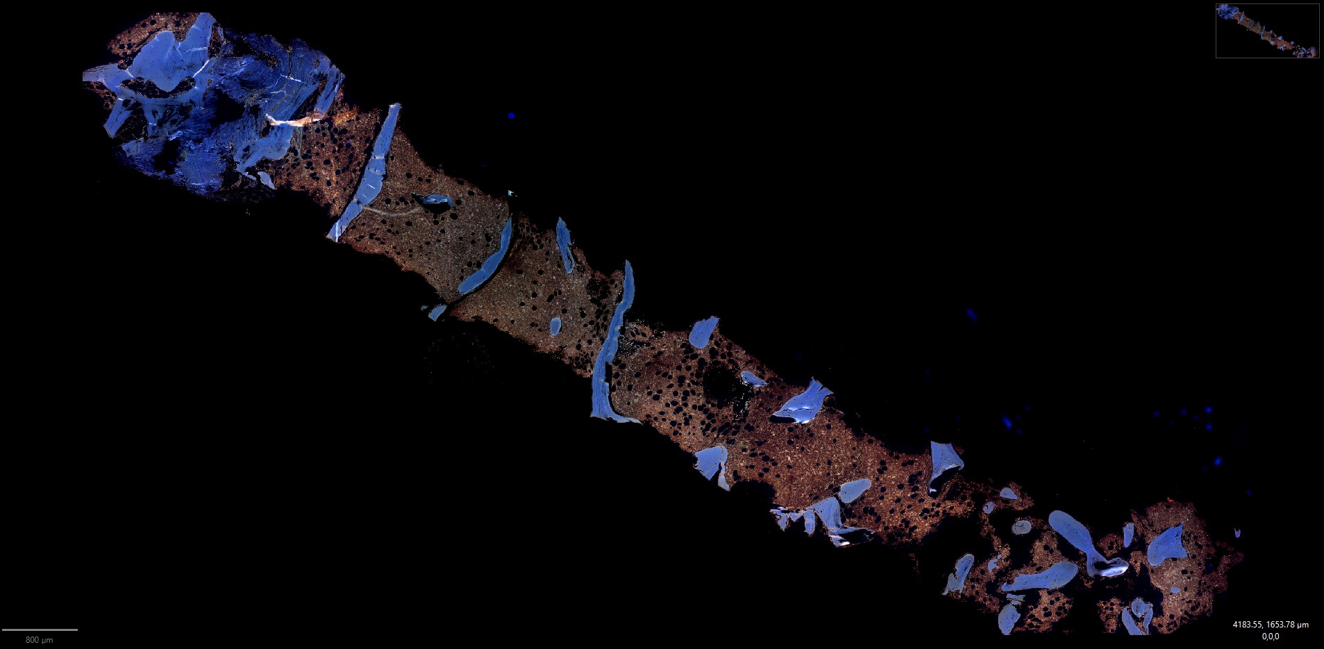 screenshot-2025-10-24-141503