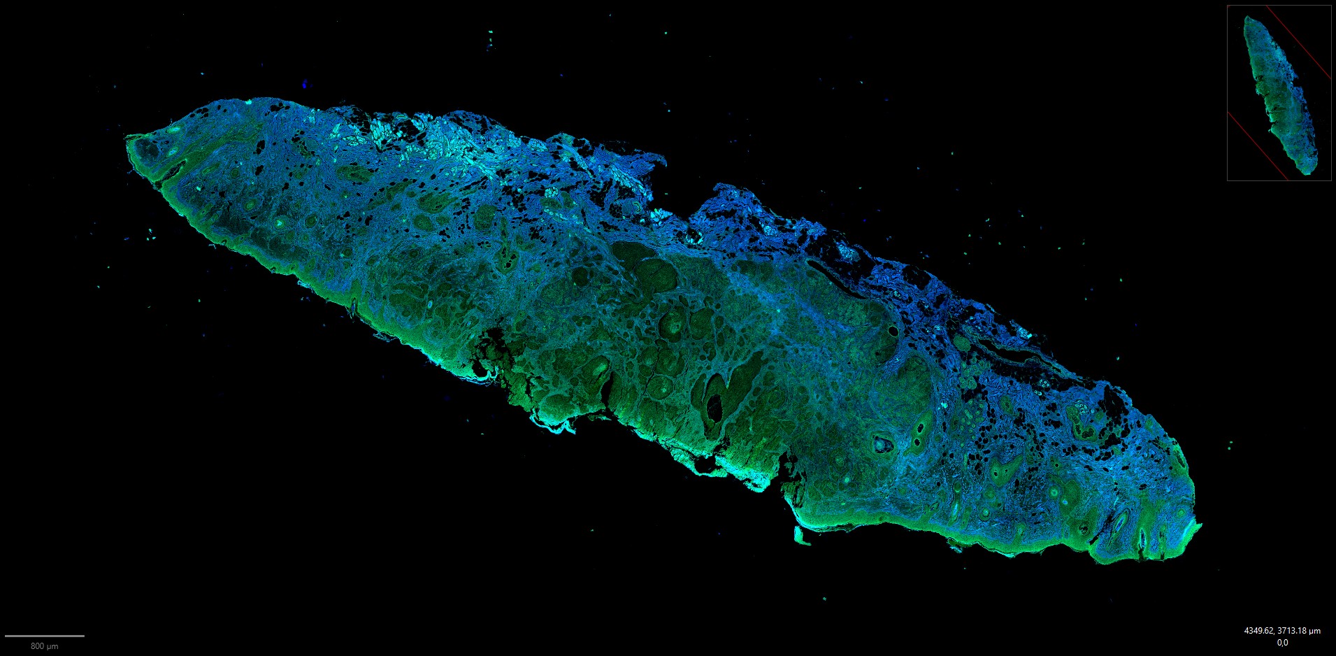 screenshot-2025-10-24-142616