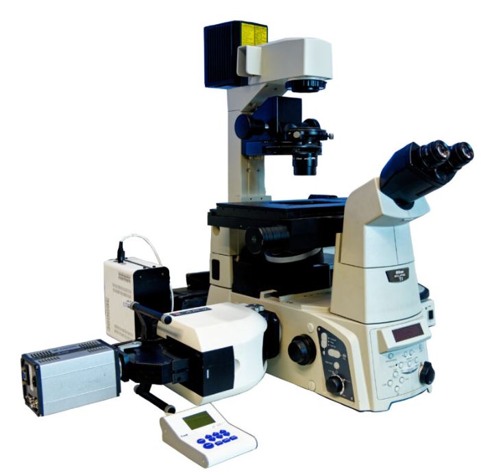 Invertable Compact Microscope clarity-with-nikon-inverted-microscope - Meyer Instruments