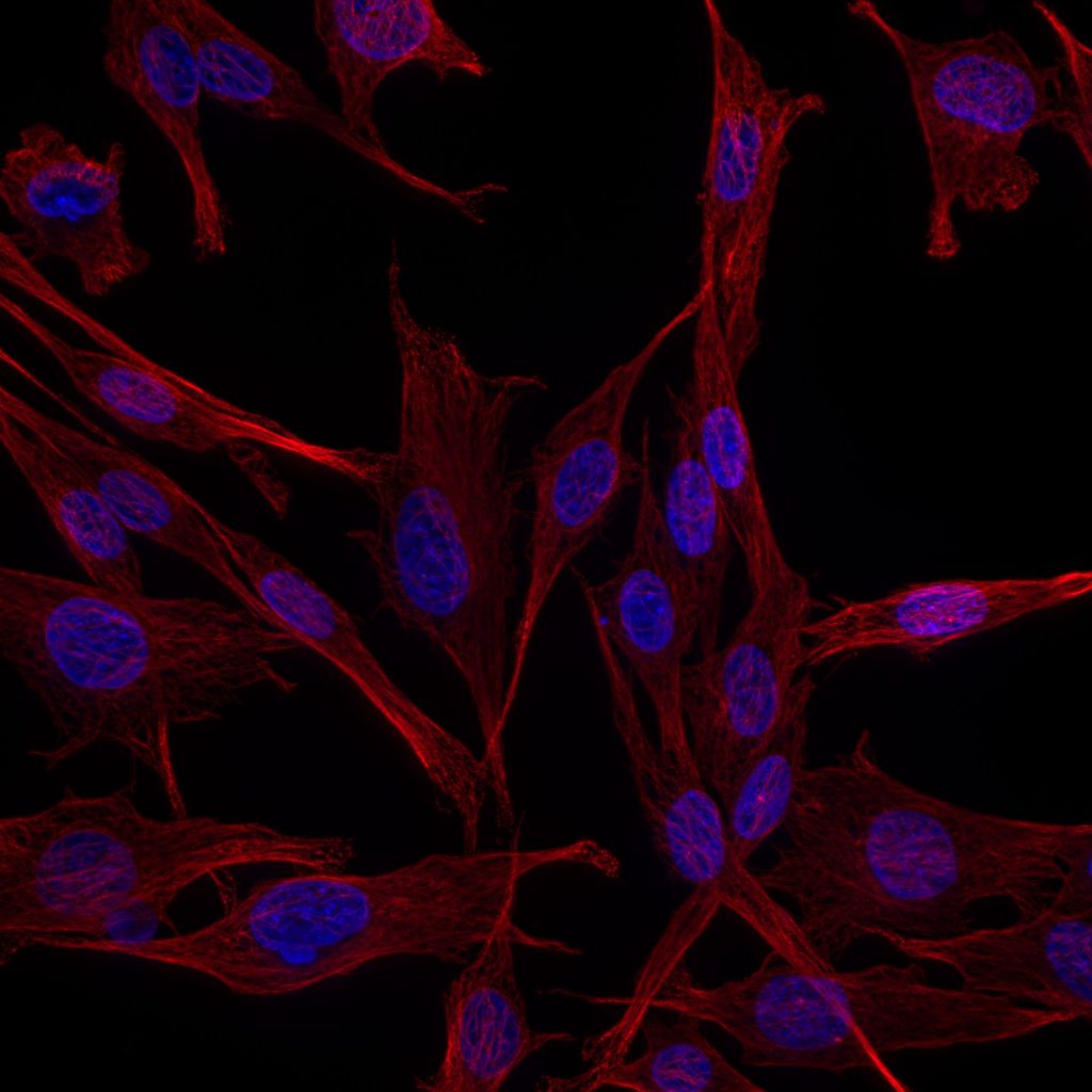 shgg_neo_2000-01-05_140117