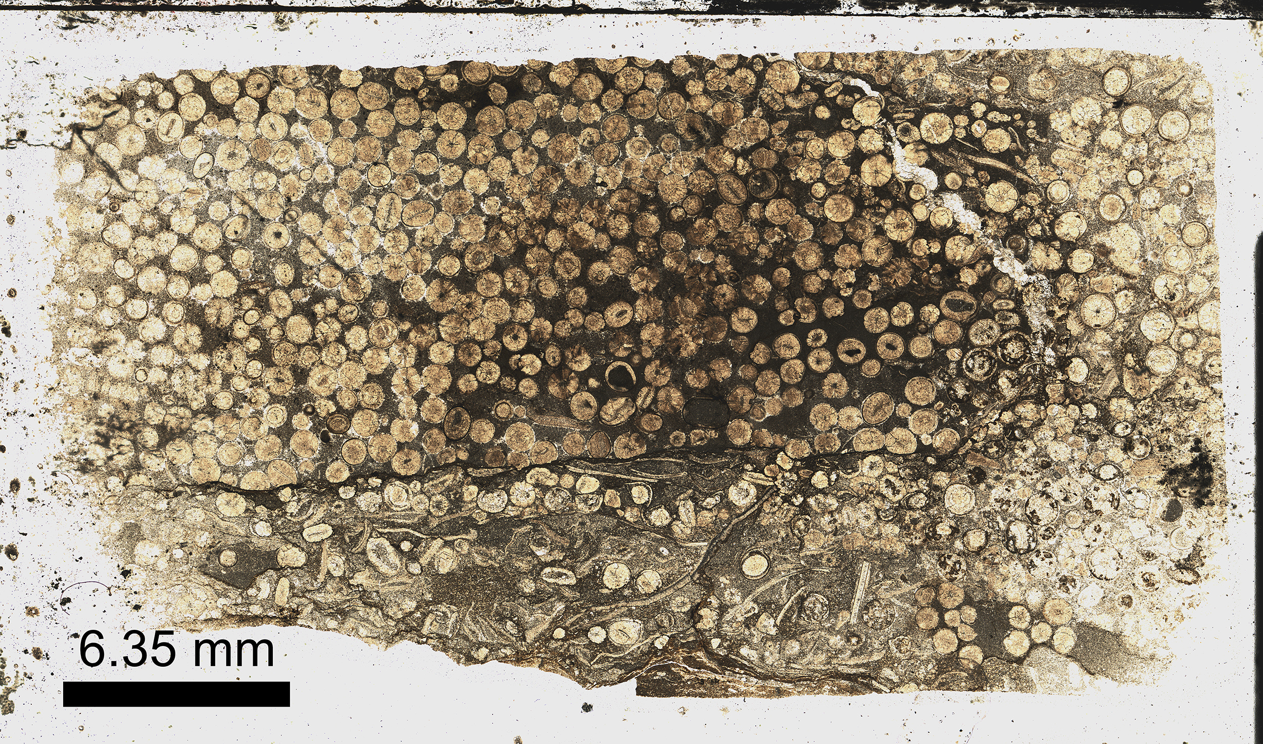1_br_composite_scale-sm