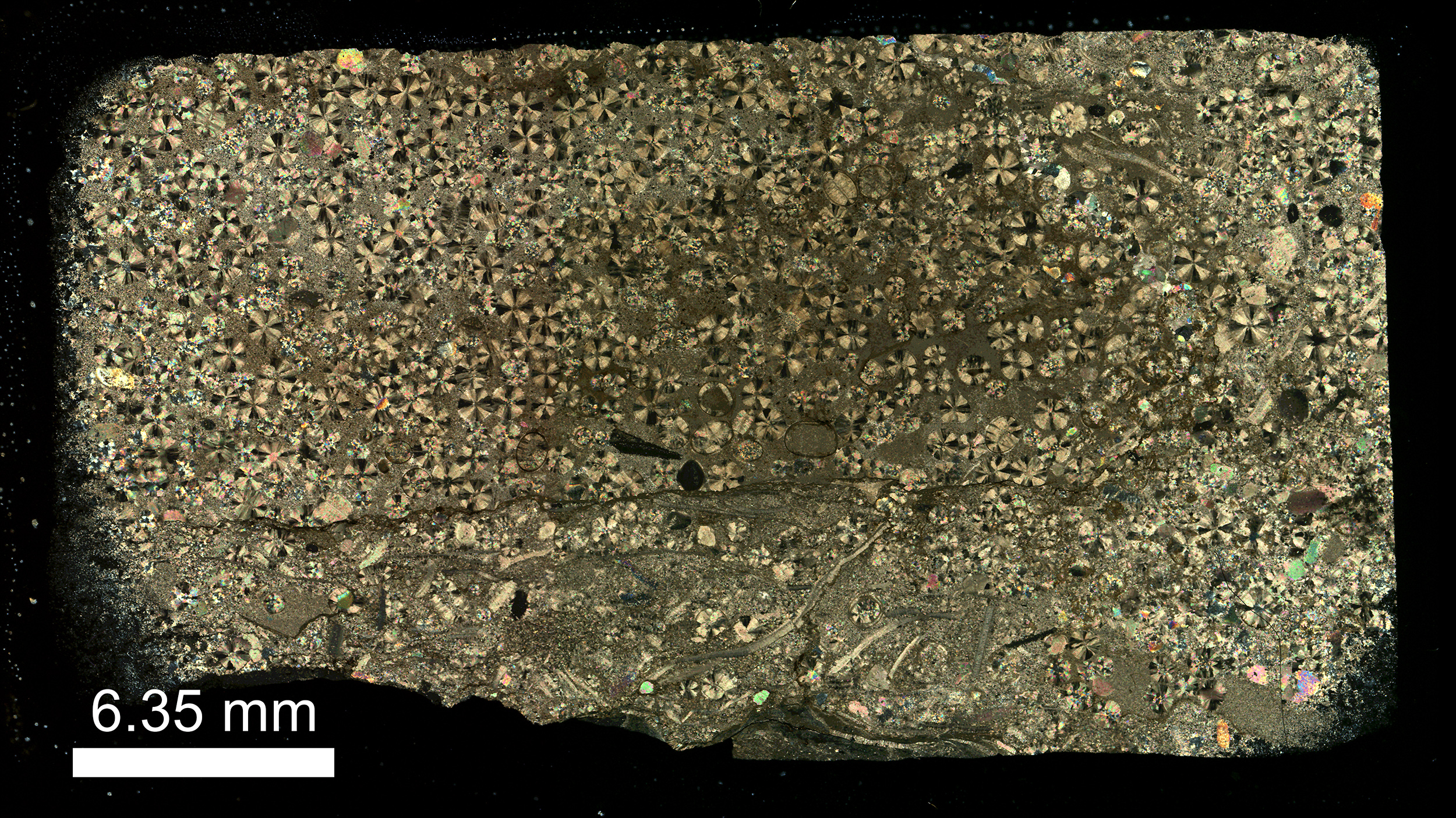 1_pol_composite-_scale-sm